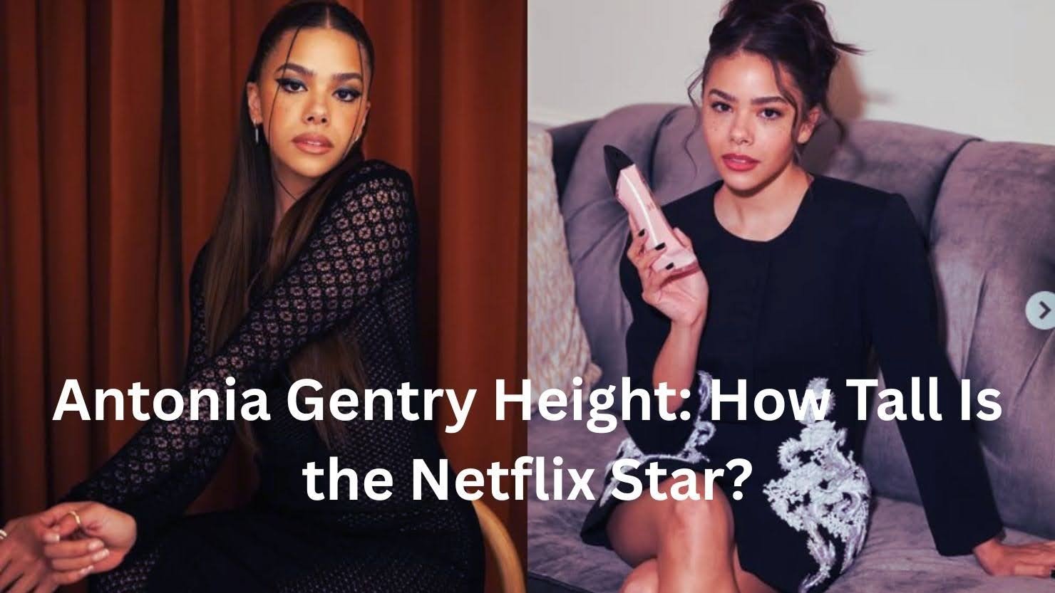 Antonia Gentry Height